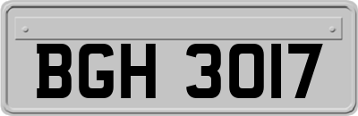 BGH3017