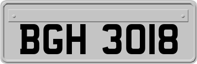 BGH3018