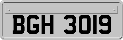 BGH3019