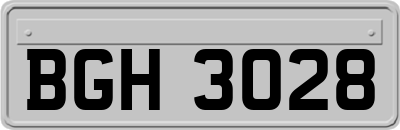 BGH3028