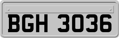 BGH3036