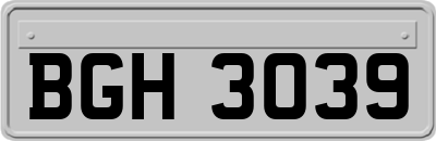 BGH3039