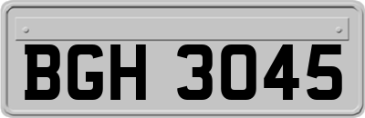 BGH3045