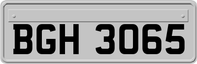 BGH3065