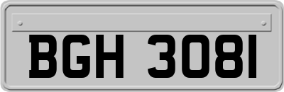 BGH3081