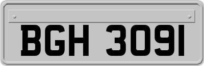 BGH3091