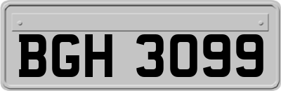 BGH3099