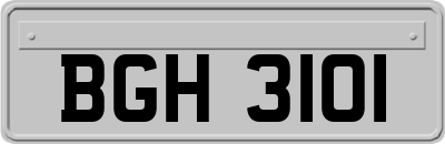BGH3101