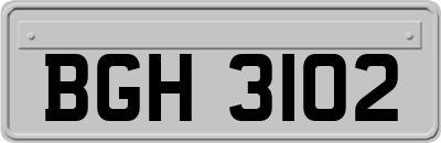 BGH3102