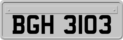 BGH3103