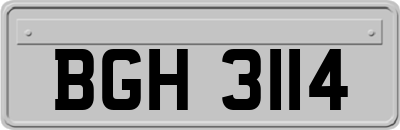 BGH3114
