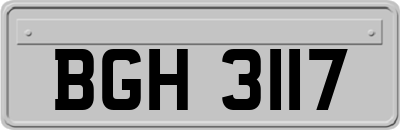 BGH3117
