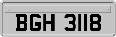 BGH3118