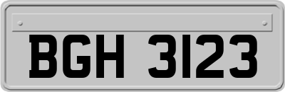 BGH3123