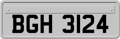 BGH3124