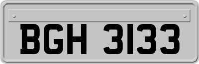 BGH3133