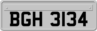BGH3134