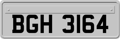 BGH3164