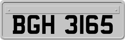 BGH3165