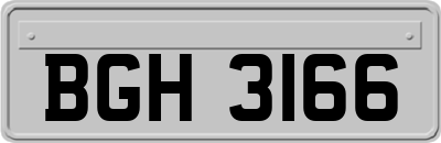 BGH3166