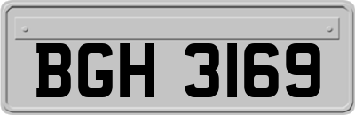 BGH3169