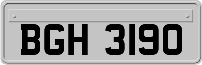 BGH3190