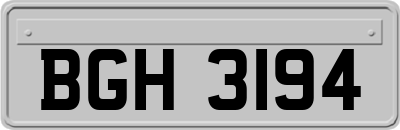 BGH3194