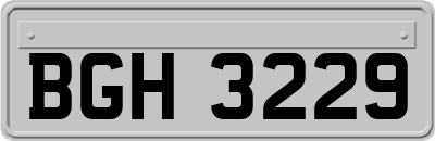BGH3229