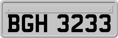BGH3233