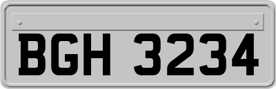 BGH3234