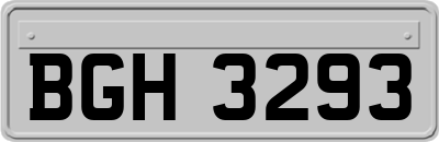 BGH3293