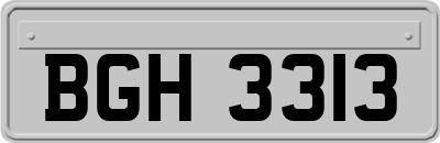 BGH3313