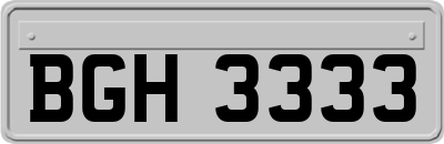 BGH3333