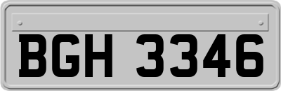 BGH3346