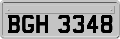 BGH3348