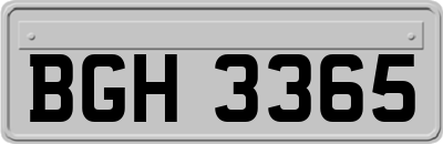 BGH3365