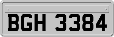 BGH3384