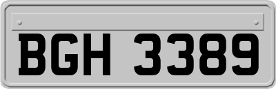 BGH3389