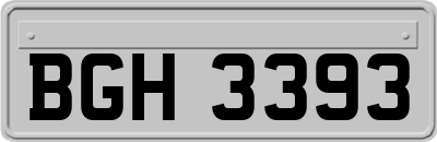 BGH3393