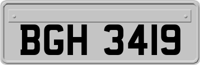 BGH3419