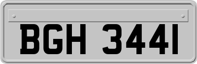 BGH3441