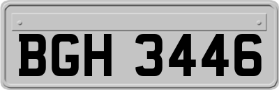 BGH3446