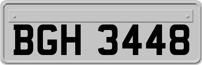 BGH3448