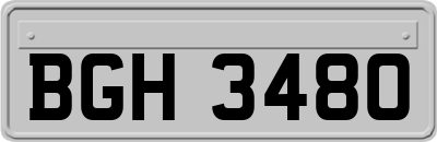BGH3480