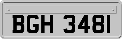 BGH3481