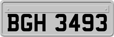 BGH3493