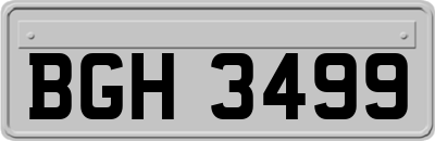 BGH3499