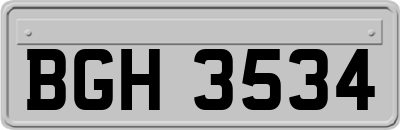 BGH3534