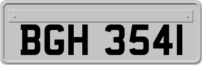 BGH3541