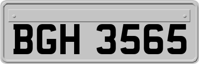 BGH3565